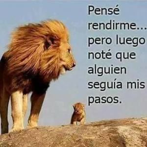 Meet your Posher, Carlos